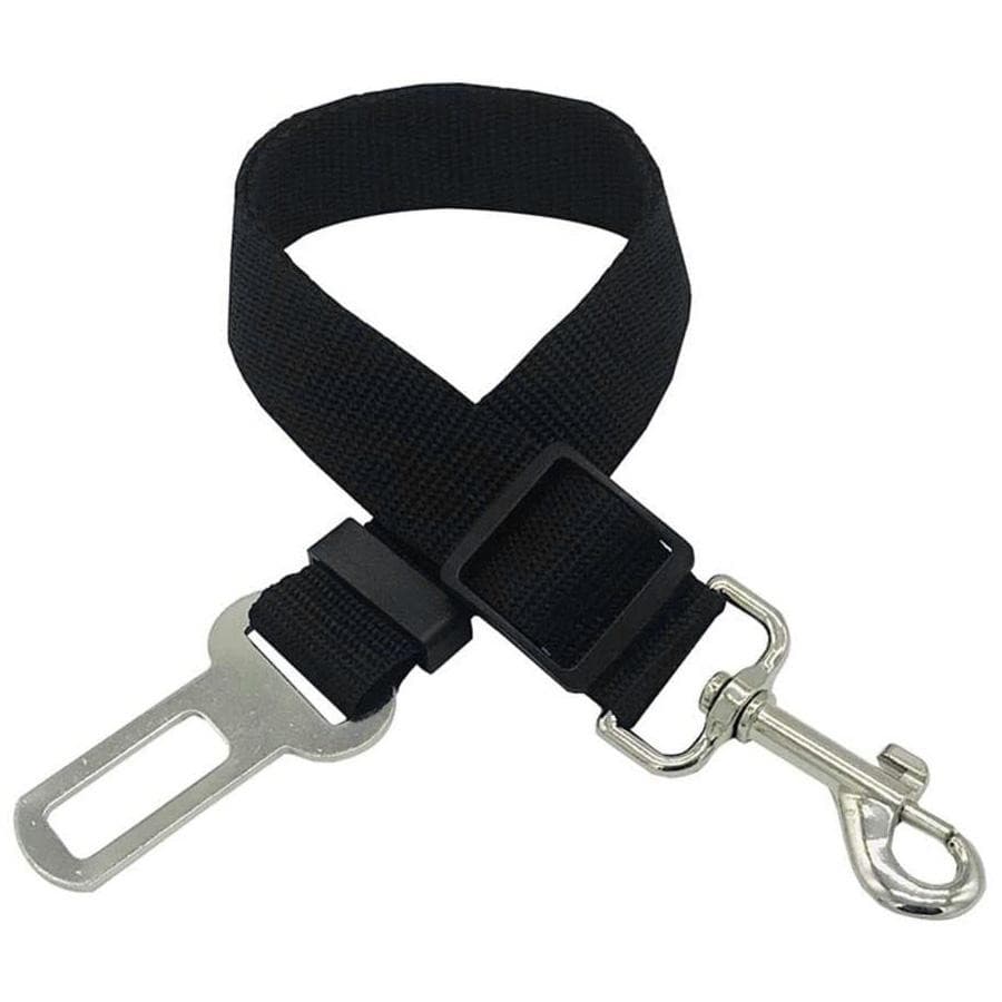 Ceinture de sécurité pour les animaux