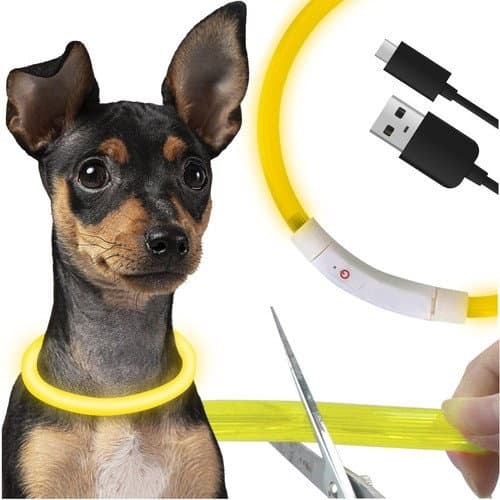 Collare luminoso a LED - regolabile Purlov 24200