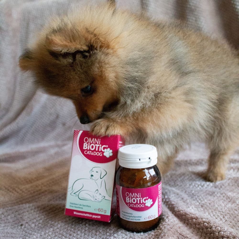 OMNi-BiOTiC® CAT & DOG view 2