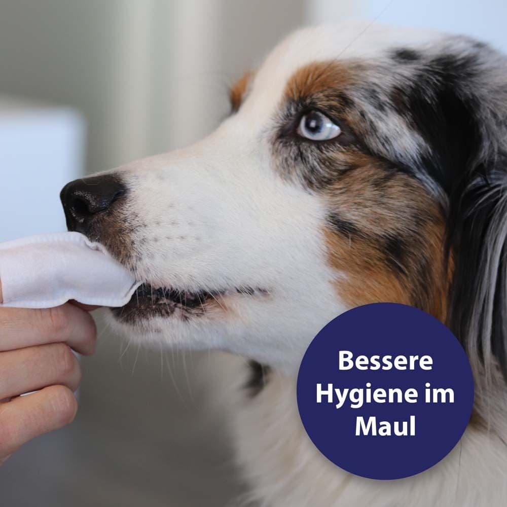 Canosept® Zahnpflege Finger-Pads für Hunde view 2