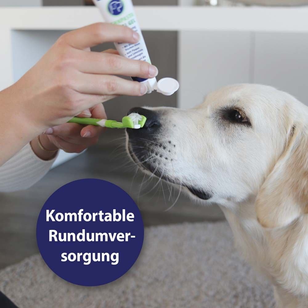 Canosept® Zahnpflege-Set für Hunde view 2