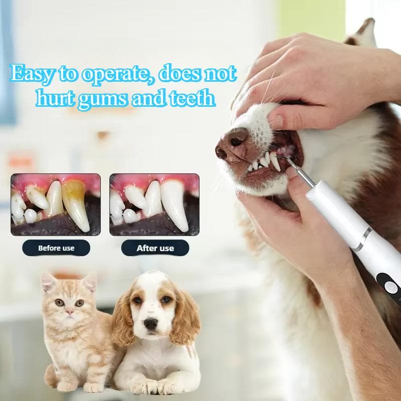 Ultraschall-Zahnreiniger für Hunde aus Edelstahl mit USB-Aufladung, LED-Licht, Zahnreinigung für Katzen und Hunde, 3 einstellbare