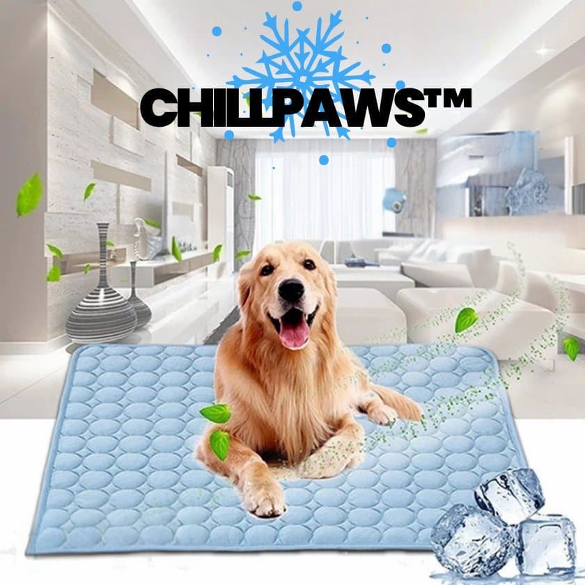 ChillPaws™ - Waschbarer Erfrischungsteppich für Hunde und Katzen (100 x 70 cm)