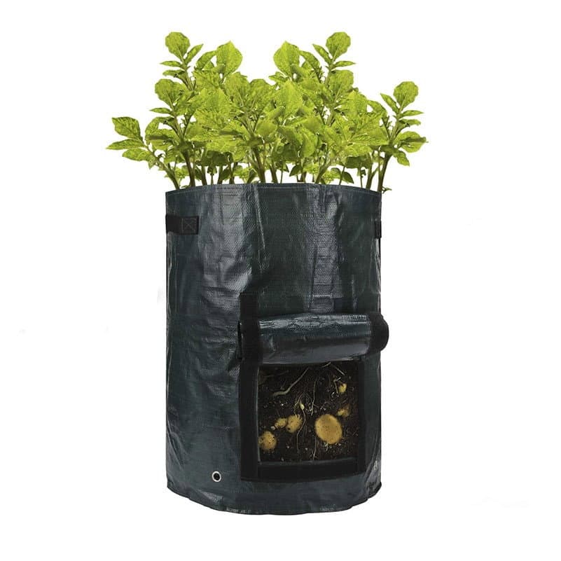 Gro-Sack - Coltiva alimenti biologici sul tuo balcone