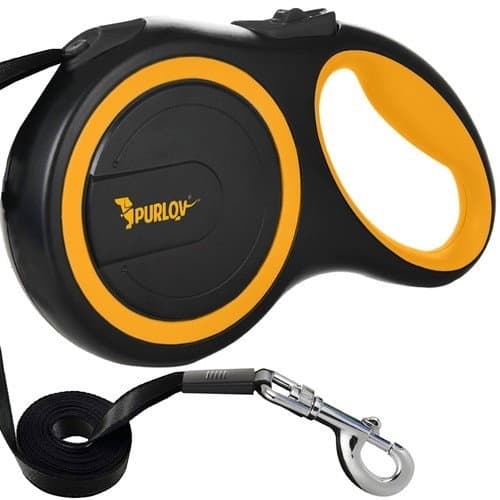 Laisse automatique pour chien 8 m pour grands chiens