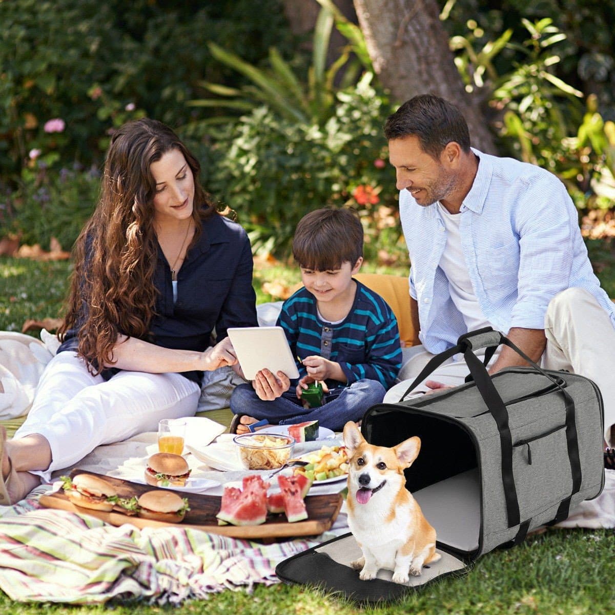 Caisse de transport mobile avec poignée télescopique & roulettes & petit sac pour chats, chiens, gris