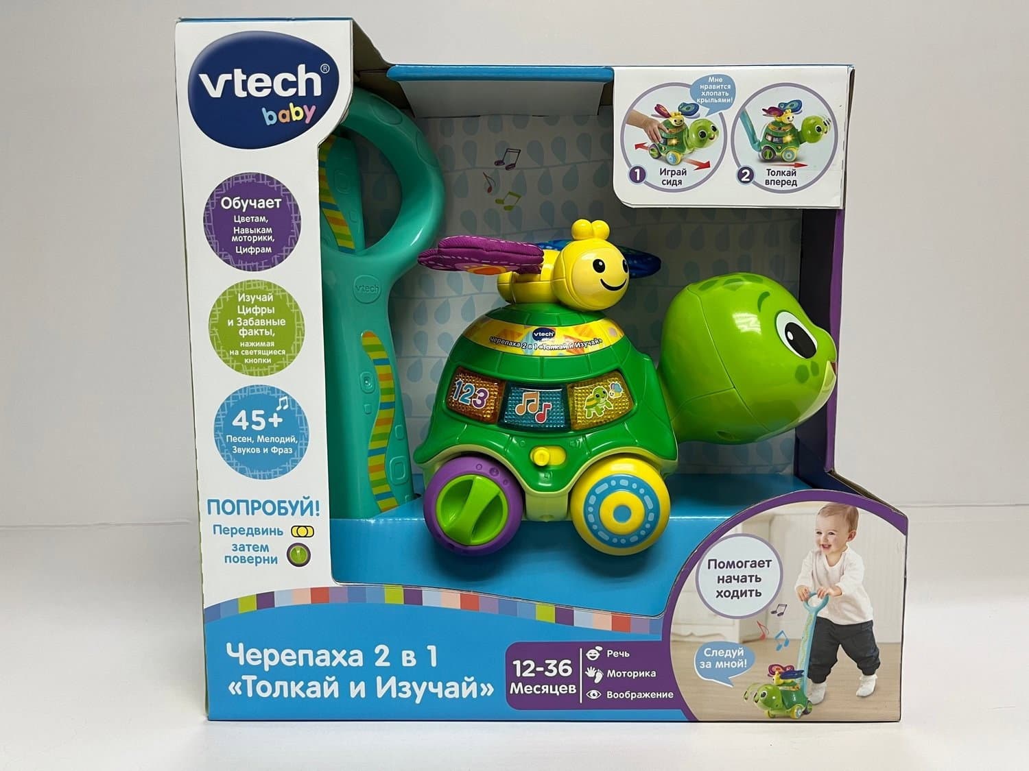 Interaktives 2-in-1 Push & Discover Schildkrötenspielzeug für Kinder