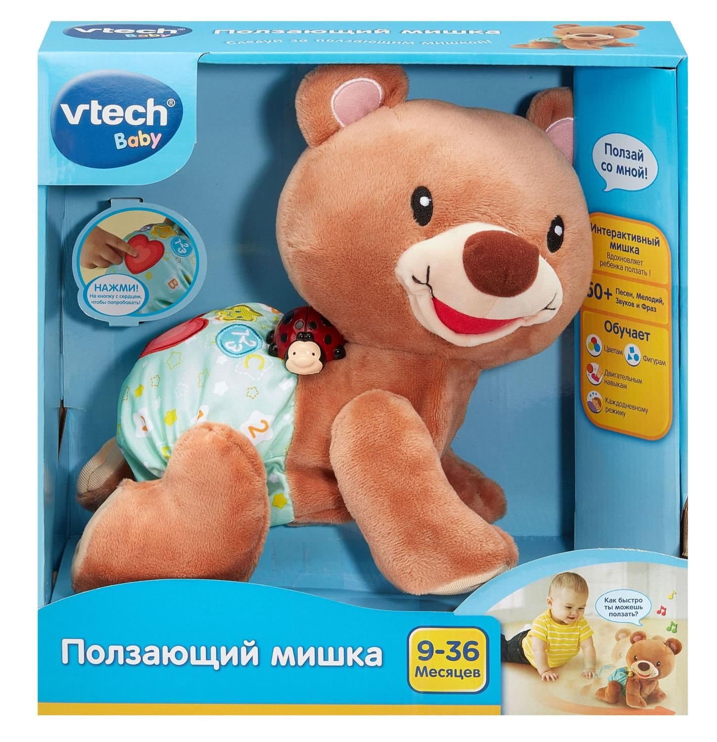 Giocattolo interattivo Crawl Along Bear per neonati e bambini piccoli