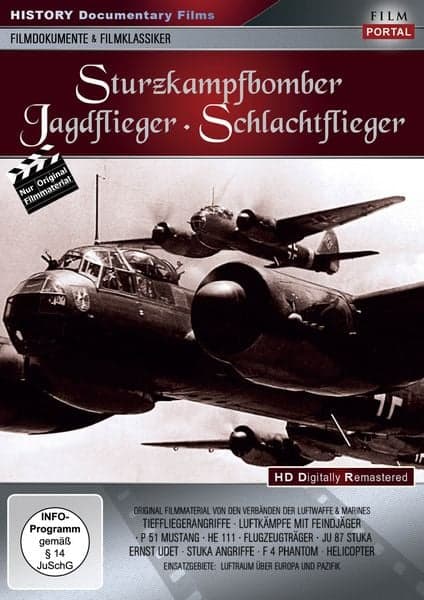 Sturzkampfbomber, Jagdflieger, Schlachtflieger