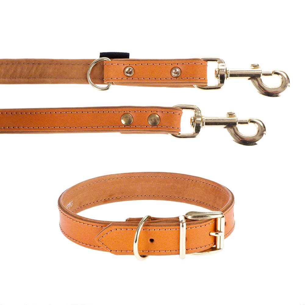 Heim Set: Lederhalsband & Vorführleine Buffalo, cognac - Halsband Grösse 60 + Leine 200 cm